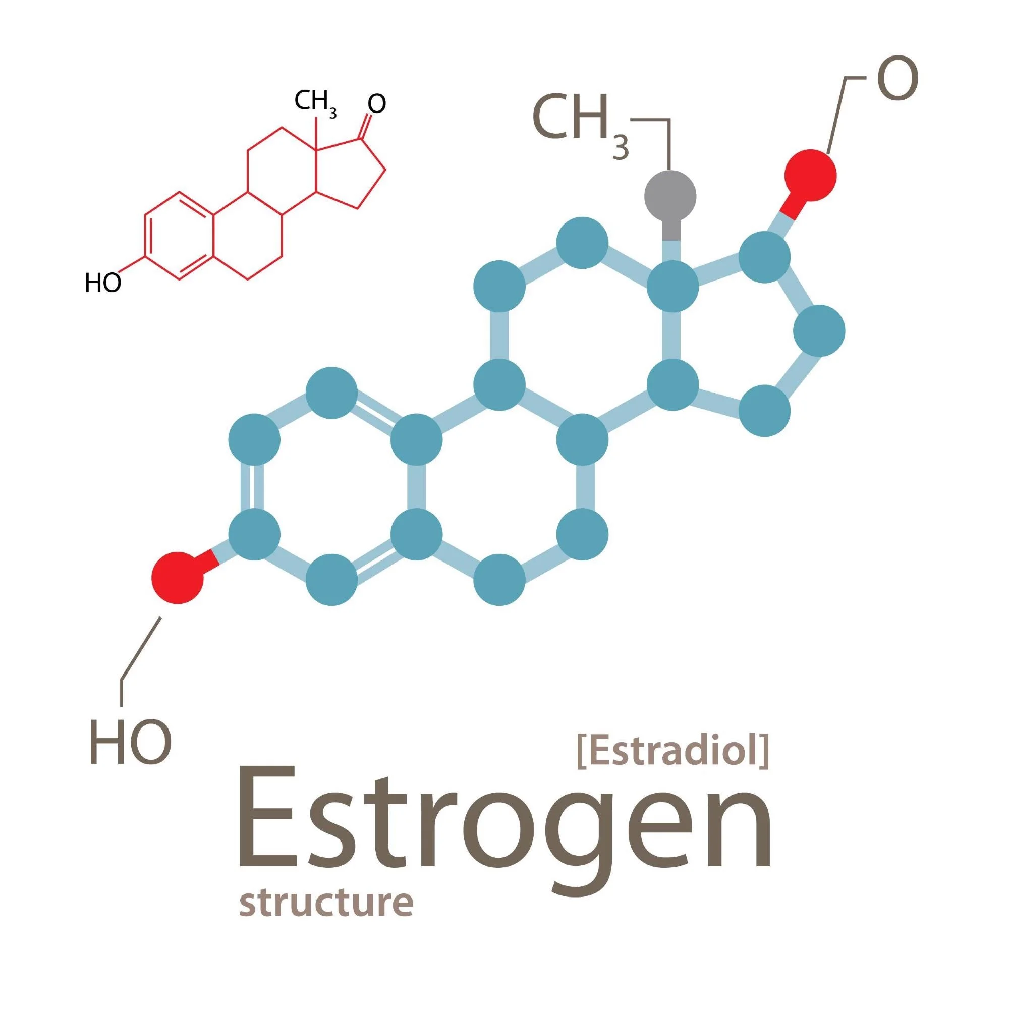 The Role of Estrogen in Disease Prevention: Exploring the Health Benefits
